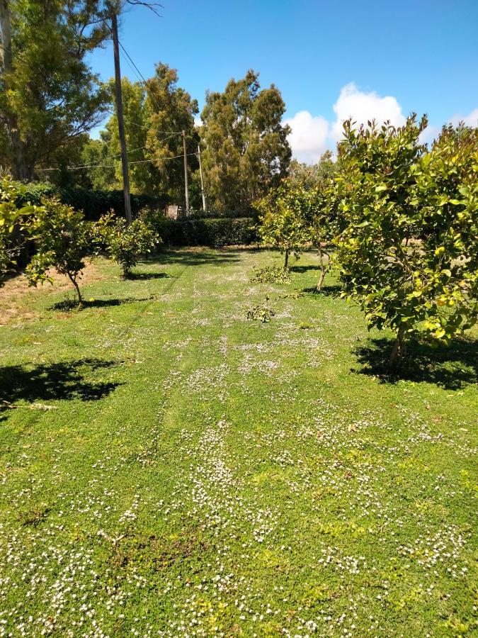 Agriturismo I Doni Del Mandorlo Alghero Exterior foto